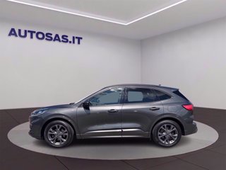 FORD Kuga 1.5 ecoblue ST-Line 2wd 120cv