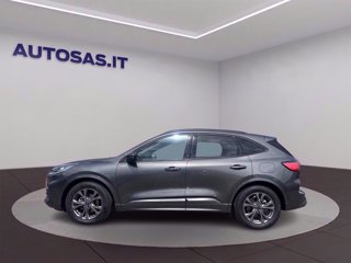 FORD Kuga 2.5 full hybrid ST-Line 2wd 190cv cvt