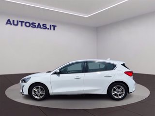 FORD Focus 1.5 ecoblue Plus 95cv