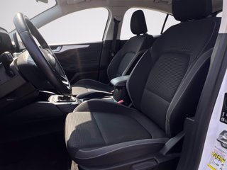 FORD Focus 1.5 ecoblue Plus 95cv
