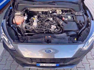FORD Focus 1.0 ecoboost h ST-Line s&s 125cv my20.75