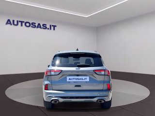 FORD Kuga 1.5 ecoblue ST-Line 2wd 120cv