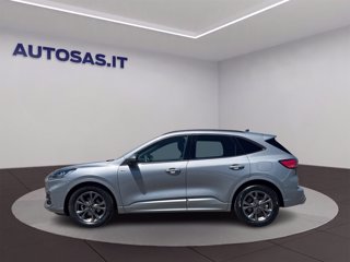 FORD Kuga 1.5 ecoblue ST-Line 2wd 120cv