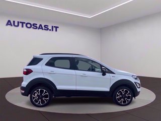 FORD EcoSport 1.0 ecoboost Active s&s 125cv