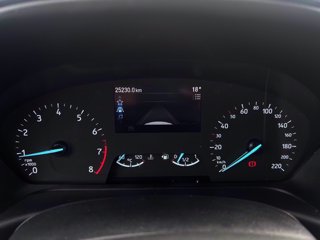 FORD Fiesta Active 1.0 ecoboost h 125cv