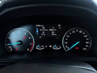 FORD EcoSport 1.0 ecoboost Active s&s 125cv