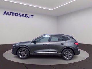 FORD Kuga 2.5 full hybrid ST-Line 2wd 190cv cvt