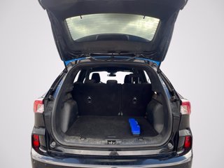FORD Kuga 1.5 EcoBlue 120 CV 2WD ST-Line