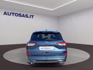 FORD Kuga 1.5 EcoBlue 120 CV 2WD ST-Line