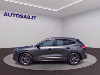 FORD Kuga 1.5 ecoblue ST-Line 2wd 120cv