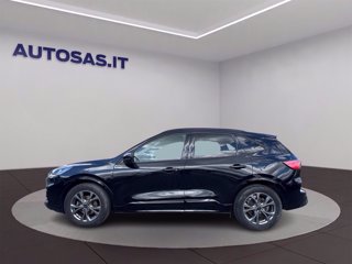 FORD Kuga 2.5 full hybrid ST-Line 2wd 190cv cvt