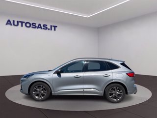 FORD Kuga 1.5 ecoblue ST-Line 2wd 120cv