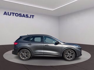 FORD Kuga 1.5 EcoBlue 120 CV 2WD ST-Line