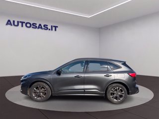 FORD Kuga 1.5 EcoBlue 120 CV 2WD ST-Line