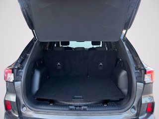 FORD Kuga 1.5 EcoBlue 120 CV 2WD ST-Line