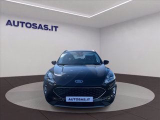FORD Kuga 1.5 EcoBlue 120 CV 2WD Connect