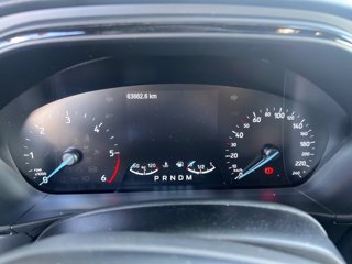 FORD Focus 2.0 EcoBlue 150 CV automatico 5p. ST-Line Co-Pilot