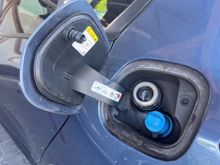 FORD Focus 2.0 EcoBlue 150 CV automatico 5p. ST-Line Co-Pilot