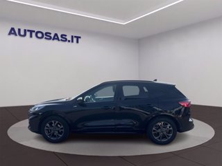 FORD Kuga 1.5 EcoBoost 150 CV 2WD ST-Line