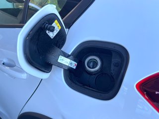 FORD Focus 1.0 EcoBoost Hybrid 125 CV 5p. Active