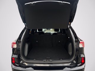 FORD Kuga 2.5 Full Hybrid 190 CV CVT 2WD ST-Line
