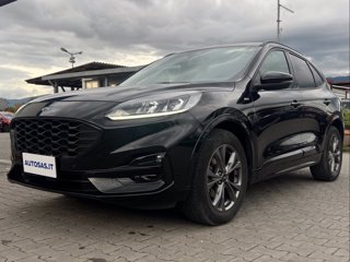 FORD Kuga 2.5 Full Hybrid 190 CV CVT 2WD ST-Line