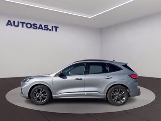 FORD Kuga 1.5 EcoBlue 120 CV aut. 2WD ST-Line