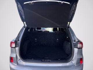 FORD Kuga 1.5 EcoBlue 120 CV aut. 2WD ST-Line