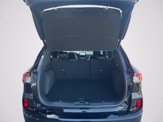 FORD Kuga 2.5 Plug In Hybrid 225 CV CVT 2WD ST-Line X