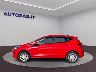 FORD Fiesta 1.1 75 CV 5 porte Connect