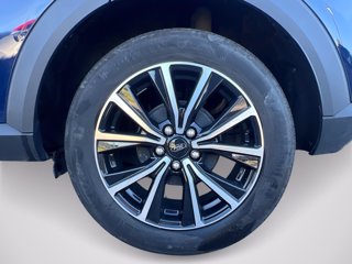 FORD Puma 1.0 EcoBoost Hybrid 125 CV S&S Titanium