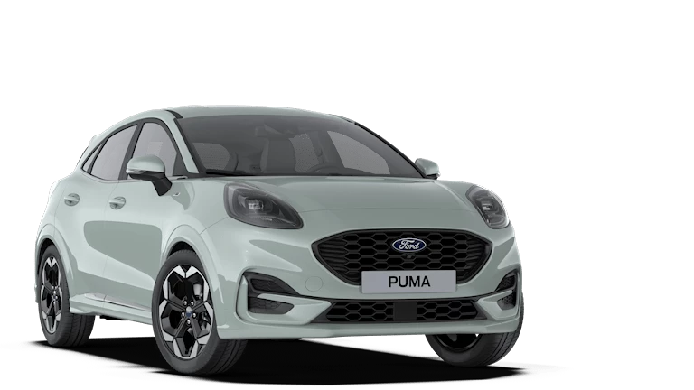 Nuova Puma Ford
